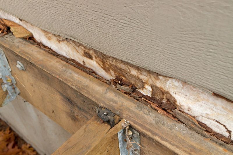 Dry Rot Repair in Arvada, CO