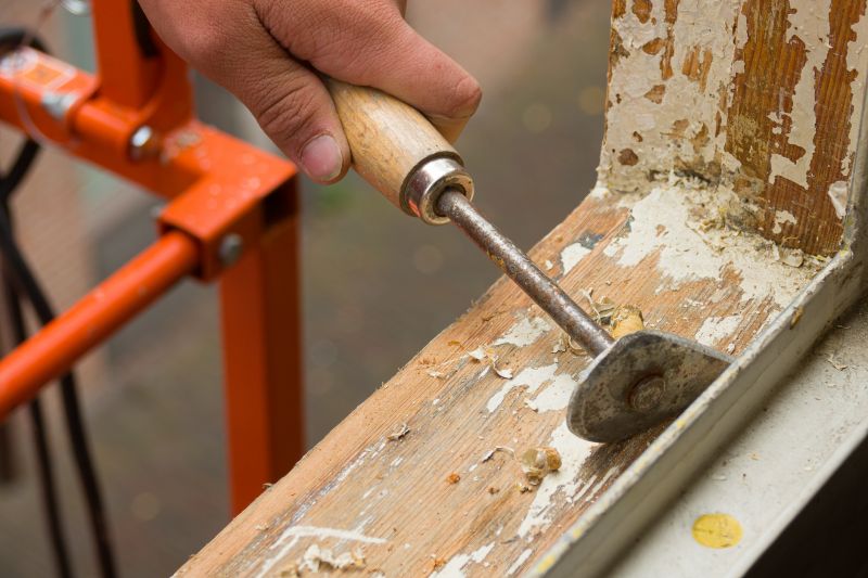Rot Repair Service in Denver, CO