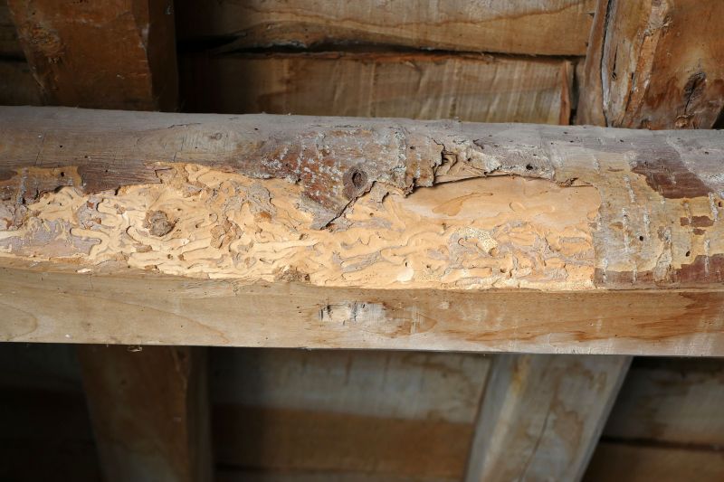 Decayed Wood Replacement in Boulder, CO