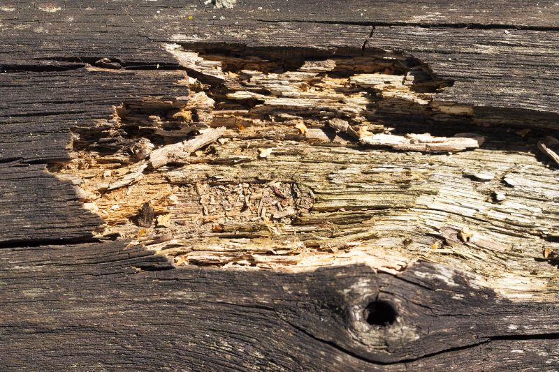 Decayed Wood Replacement in Wilmington, NC