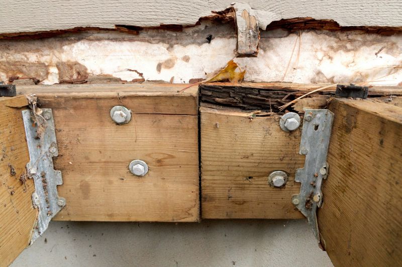 Dry Rot Repair in Conroe, TX