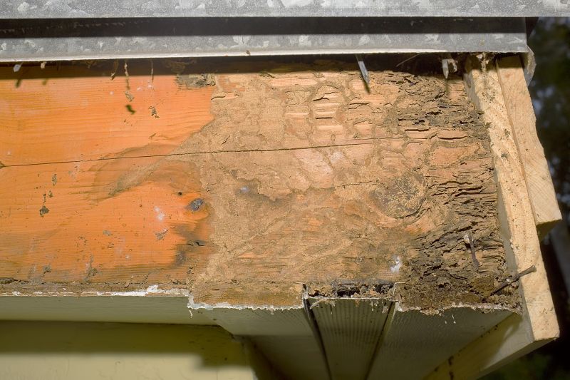 Dry Rot Repair in Indianapolis, IN