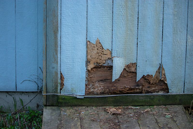 Pest Damage Repair in Overland Park, KS