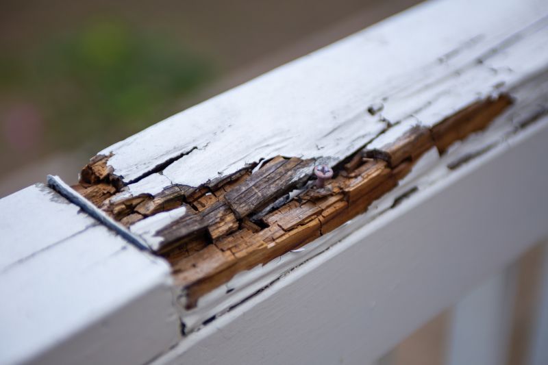Rot Repair Service in Overland Park, KS