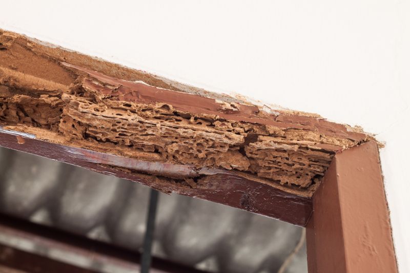 Structural Rot Repair in Roswell, GA