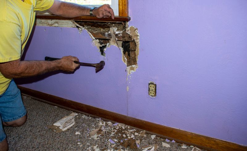Termite Damage Restoration in Conroe, TX