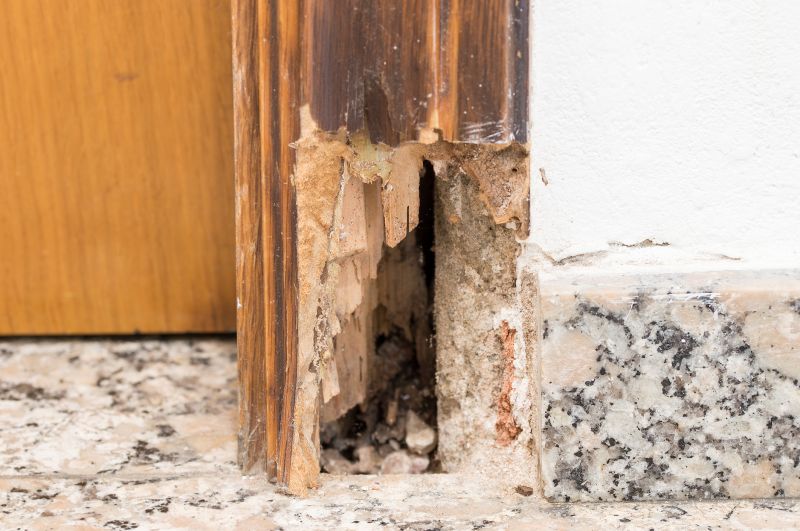 Termite Damage Restoration in Littleton, CO