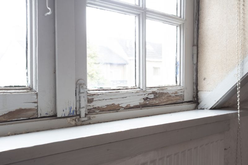 Window Rot Repair in Denver County, CO