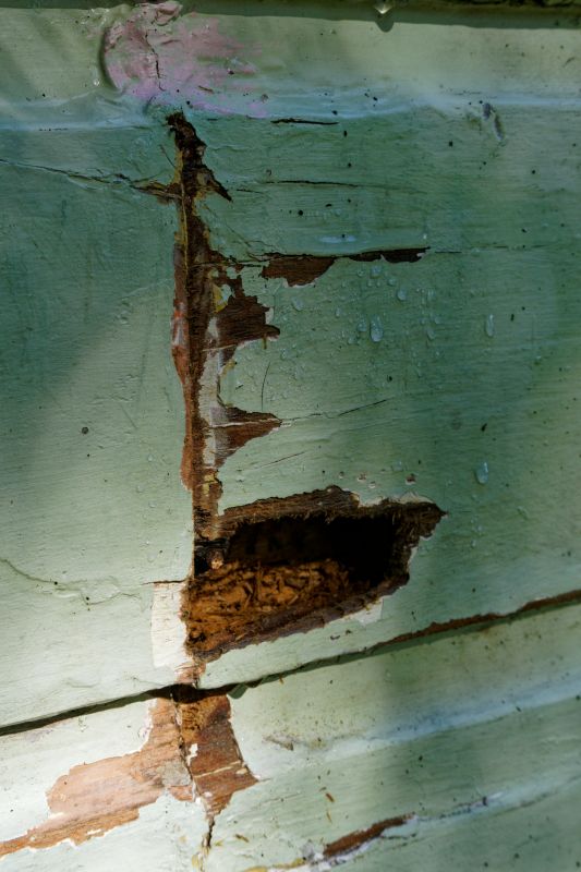 Wood Decay Removal in Denver, CO