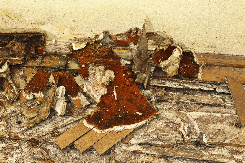 Wood Decay Repair in Boulder, CO