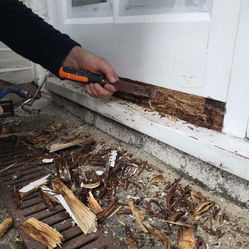 Wood Rot Removal in Littleton, CO