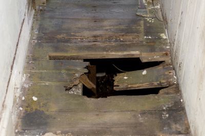 Wood Rot Flooring or Subflooring Replacement!